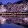 夢の架け橋 t