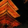 清水寺ライトアップ