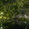夜明け前