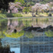 小石川後楽園3