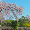 小石川後楽園５