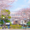土曜日の公園