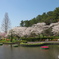 遠景