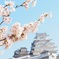 散策②