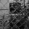 SDIM2534