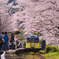 桜トンネルの駅