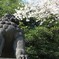 花見