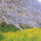 花嵐Ⅱ
