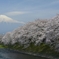 春の龍巌淵