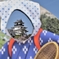掛川城