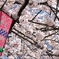 桜祭り