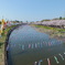 DSCF5495