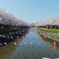 DSCF5500