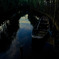 stream