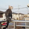 ベランダ猫