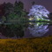 32AD6548-43FF-4504-84C9-0F47D3CA1443