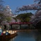桜と船と姫路城