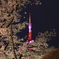 20180402 桜に囲まれるタワー