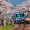 花見列車