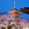 五重塔と桜