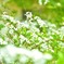 8B3E2569-0381-40C0-878E-9FE56AB68600
