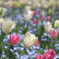 mixed flowers 2