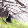 春の香り