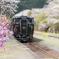 春の停車駅