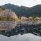 奈良　スポーツ公園の桜