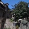フランスの田舎町