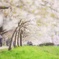 春の景色