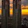 東京都庁