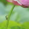 なんか　呼んだ？