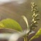 さぁ、花を咲かせる準備をしよう♬