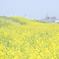 いい天気