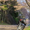 バイクと桜