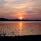 多々良沼の夕日