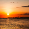 南港 夕日