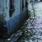 after the rain