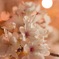 桜まつり