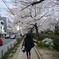 春がきた