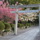 神社