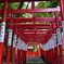 神社
