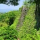 IMG_20170525 oita