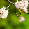 LRM_EXPORT_20180328_121311