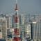 tokyo’ｓ cityscapesⅦ１
