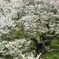 IMG_20180407_142315