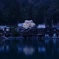 伊根の舟屋と一本桜