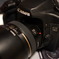 50Dの写真