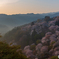 吉野山 (1)